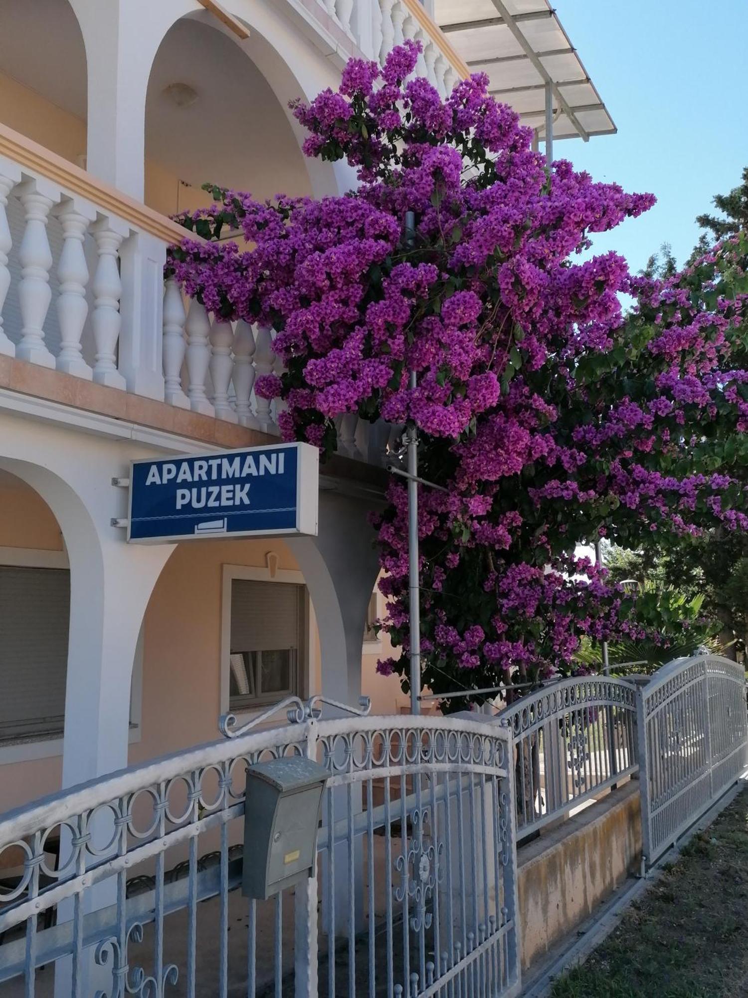 Apartmani Puzek Bibinje Dış mekan fotoğraf